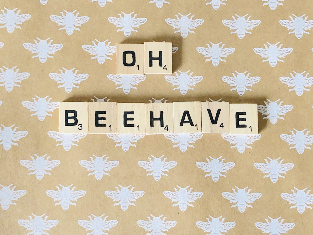 Oh Beehave wordblocks